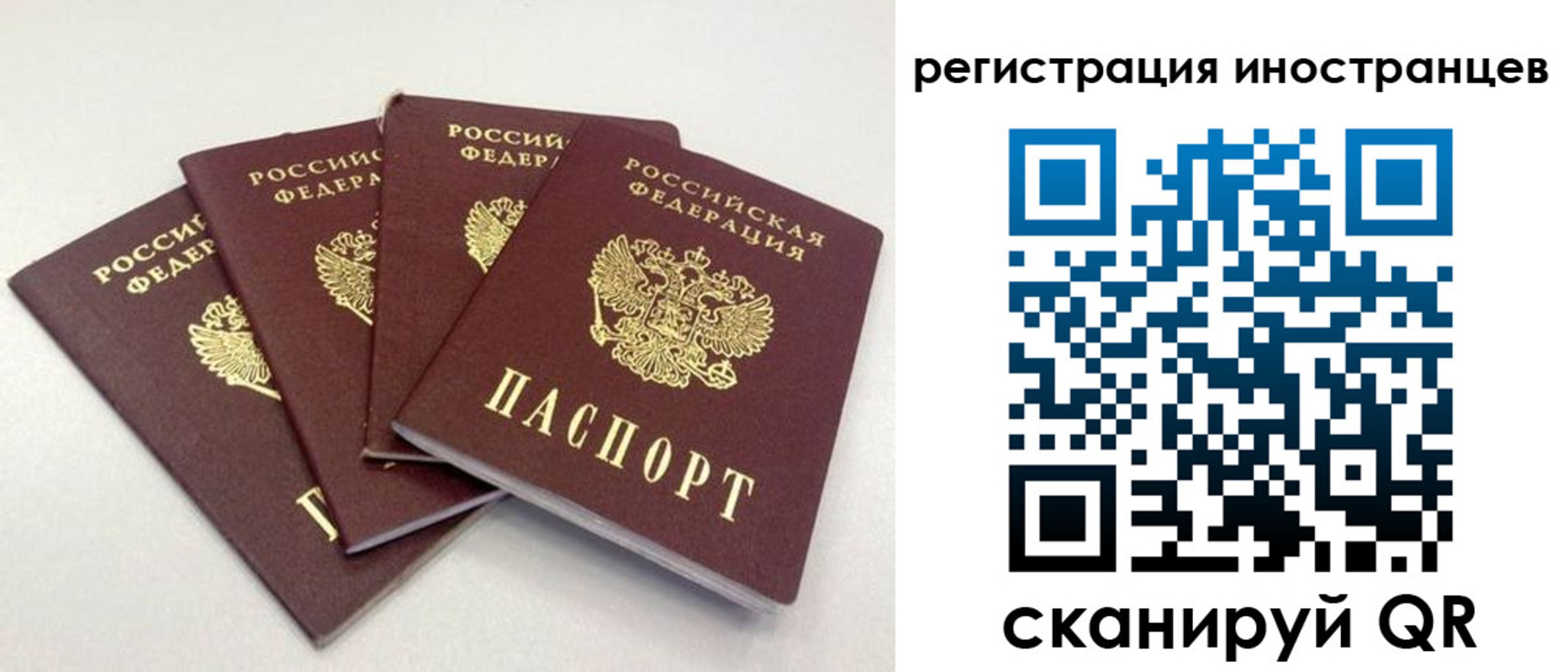 временная регистрация для школы в Дивногорске
